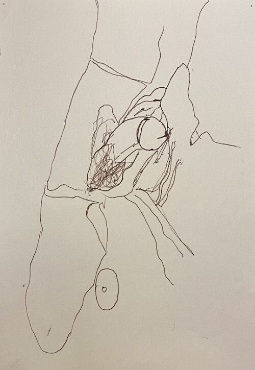 <b>Genitalien I</b> 2014<br>
29,7 x 21cm<br>
Filzstift (Fineliner) auf Papier