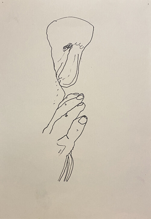 <b>Genitalien II</b> 2014<br>
29,7 x 21cm<br>
Filzstift (Fineliner) auf Papier